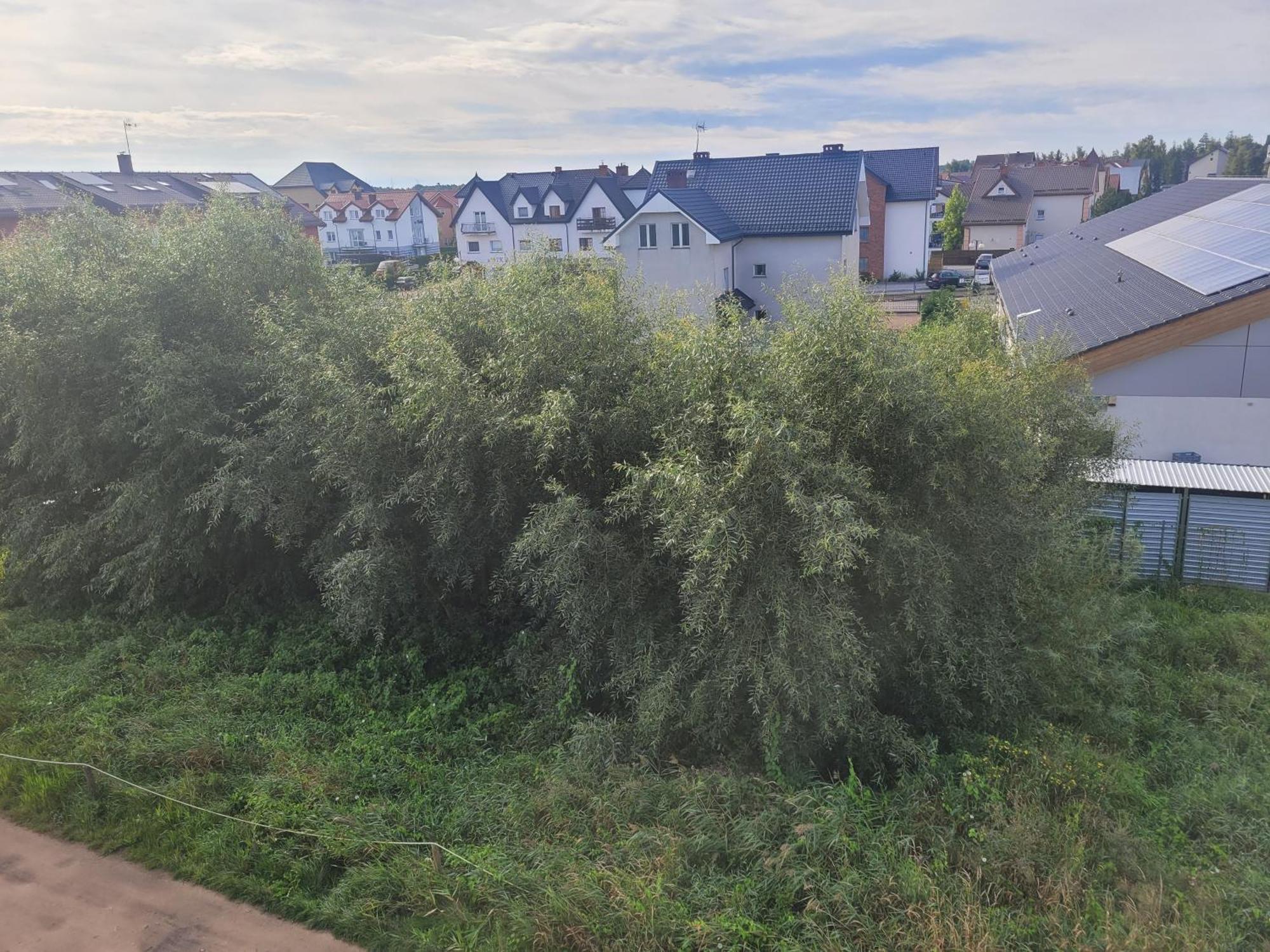 Apartamenty Majer Leba Exteriér fotografie